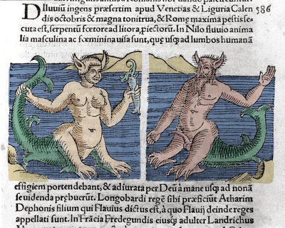 幻想的な生き物。ナイル川で見かけたイモリとセイレーン。1557年、ウォルフハルト（コンラッド・ライコステイン）の「神童たちの記録」からの挿絵 作： Unknown artist