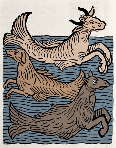 幻想的な生き物：牛、犬、海馬の表現。"Hortus sanitatis "からのエングレーヴィング 作： Unknown artist