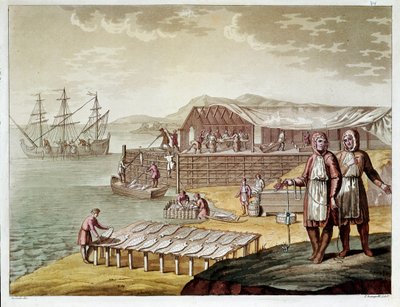 ニューファウンドランドでのタラの漁と乾燥。(Engraving 作： Unknown artist