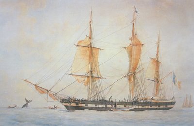 フランスの捕鯨船、1845年頃（カラーリトグラフ 作： Unknown artist