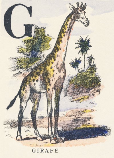G：キリン 作： Unknown artist