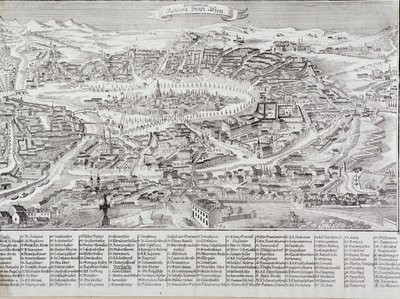 主要な建物やモニュメントの詳細が描かれたウィーンの街の全景。オーストリア 1800年からのエングレーヴィング 個人蔵 作： Unknown artist