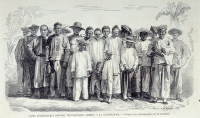 フランス植民地の歴史。グアドループで働く中国系移民たち。19世紀末のシャルトルのミュゼ・デ・ボザールの写真をもとに描かれたドローイング 作： Unknown artist