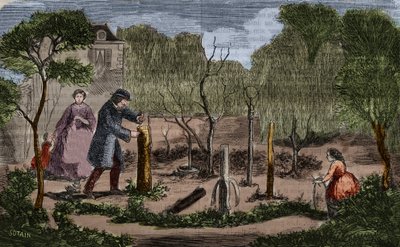 園芸：植物の移植の主な方法。1860年の彫刻。 作： Unknown artist