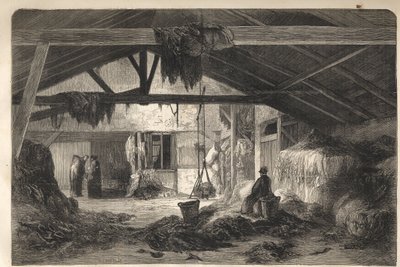 パリ5区のモンターニュ・サント・ジュヌヴィエーヴ通りのぼろ布商人の住居 1861年の刻印 作： Unknown artist