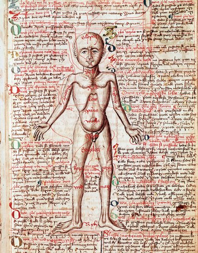 人体 15世紀「Tractatus de pestilentia」からのエングレーヴィング - プラハ、国立図書館 作： Unknown artist