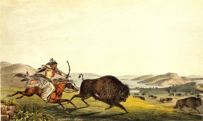 北アメリカのバイソン狩り。19世紀 作： Unknown artist