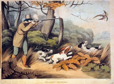 イギリスでのキジの狩猟。19世紀のエングレービング。ギエン、狩猟博物館 作： Unknown artist
