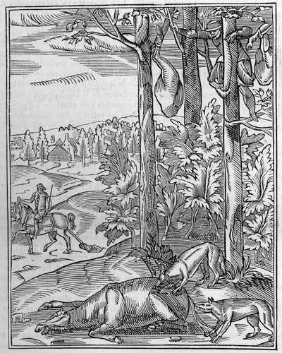 狼を狩る：見張り番。16世紀に描かれた木版画のFac simile（複製）。1892年4月9日の "La Nature: revue des sciences et de leurs applications aux arts et a l
