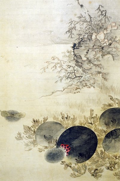 華城堂 作： Unknown artist