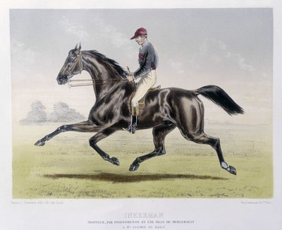 インカーマン - "The Centaur "にて 作： Unknown artist