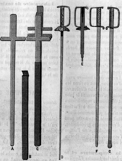 ツバメが使う道具。1883年7月21日の「La Nature: revue des sciences et de leurs applications aux arts et a l