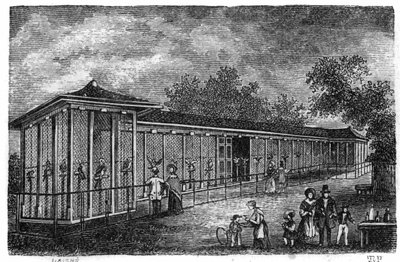 1861年、パリのJardin des Plantes：鷹狩り。 作： Unknown artist