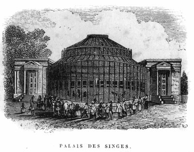 1861年、パリの植物園：猿の宮殿（Jardin des Plantes 作： Unknown artist