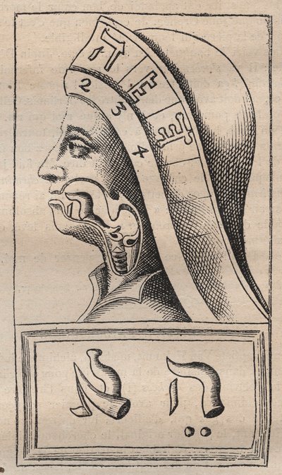 Kabbalah - Kabbalale - イラスト：Franciscus Mercurius van Helmont (1618-1699) (Francois Mercure Van Helmont)の "Alphabeti vere naturalis Hebraici brevissima delineatio" (The Alphabet of Nature) - この著作の中で、van Helmontは、各文字が自然界に存在すると主張しました。 作： Unknown artist