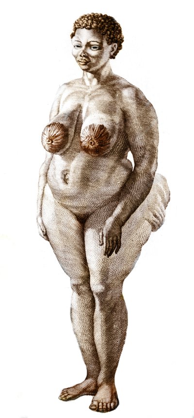 La Venus Hottentote, woman of broad Bochiman (The Hottentot Venus, 1815年の彫刻). 作： Unknown artist