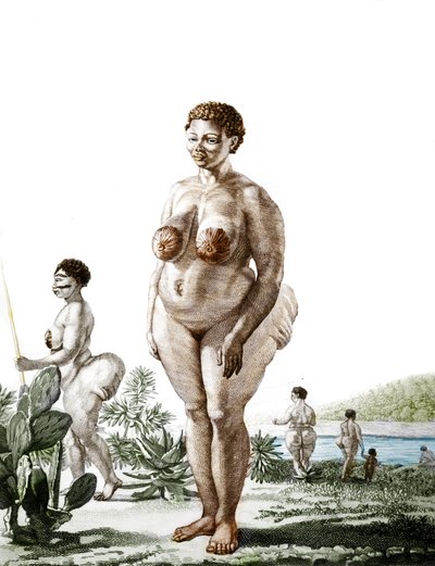 La Venus Hottentote, woman of broad Bochiman (The Hottentot Venus, 1815年の彫刻). 作： Unknown artist