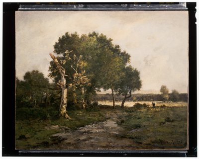 風景 19世紀頃 油彩・キャンバス 作： Unknown artist