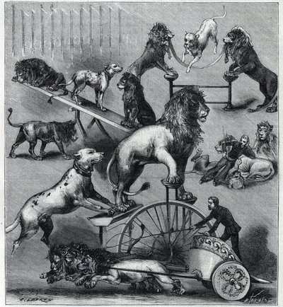 Les lions dresses du Nouveau Cirque à Paris: ライオン、テイマー、犬によるアクロバティックなナンバーの様々なトリック。1890年「La Nature」誌に掲載された版画。個人蔵。 作： Unknown artist