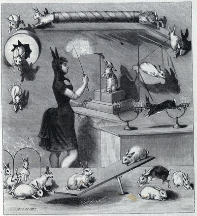 Les rabbits dresses du Nouveau Cirque in Paris: ウサギの衣装を着たタンプラーが動物に異なる数字を教える。1890年「La Nature」誌に掲載された版画。個人蔵。 作： Unknown artist