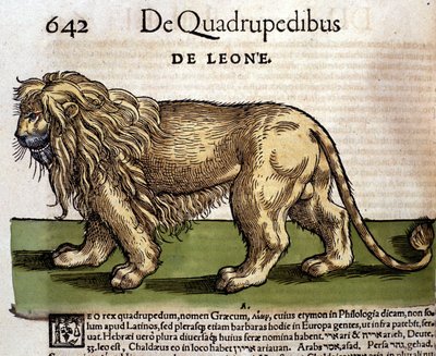 コンラッド・ゲスナーの『Historia Animalium』の後のライオン、ティグリ1560年。Braidense国立図書館。ミラノ 作： Unknown artist