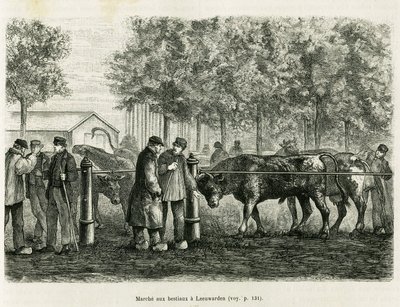 Leeuwarden（オランダ）での家畜の散歩。エドワード・シャルトン（1807-1890）が監督した「le tour du monde 1886」に掲載されたオランダの新聞記事をもとにした物語「La Frise」を説明するためのエングレーヴィング（Hachette, Paris）。 作： Unknown artist