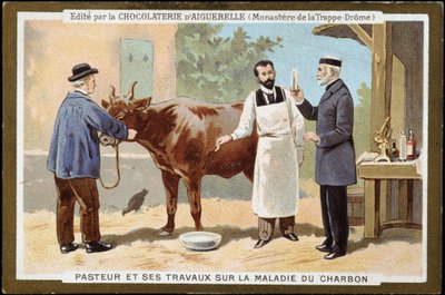 ルイ・パスツールと炭疽病の研究 - Chocolats d