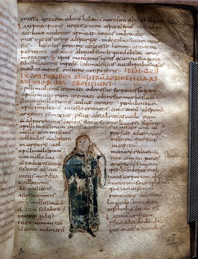 ギリシャの医師クロード・ガリエン（Klaudios Galenos or Claudio Galeno or Claudius Galenus or Galen, v.131 - v.201）の『De simplicibus medicamentis』から抜粋した手稿ページ。ルッカのGovernativa。 作： Unknown artist