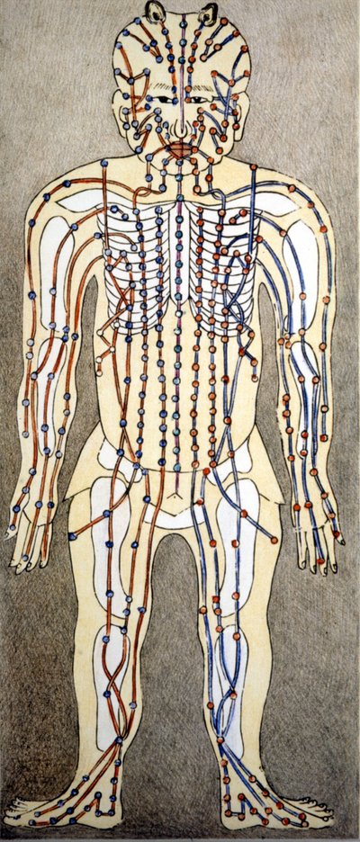 医学の話。鍼灸治療の論文からの人体の図。ミラノの私立図書館。 作： Unknown artist