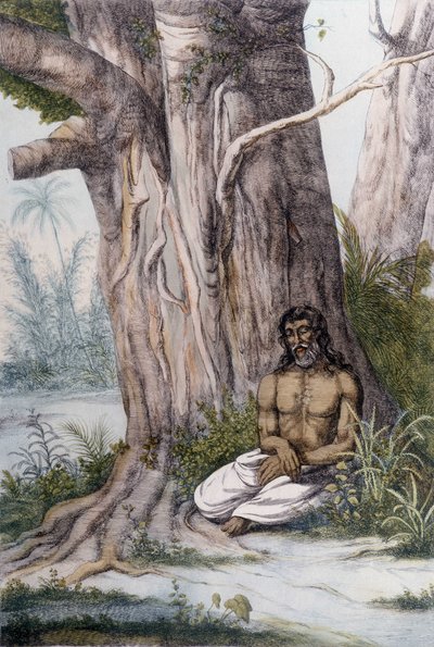 木の下での瞑想（インド 作： Unknown artist