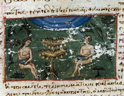 トプカプ・サライ博物館図書館 イスタンブール 12世紀 「Codex de l