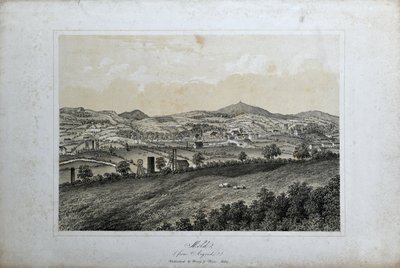 型（アルゴエド産）1850年頃（リトグラフ、紙） 作： Unknown artist