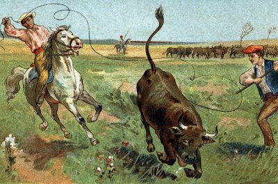 プロヴァンス地方に伝わる古い風習、カマルグのフェラーデ。19世紀末のクロモリトグラフ。 作： Unknown artist