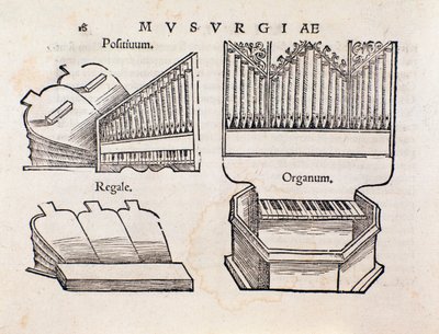 オルガンの表現。Musurgia practical manual of musicから引用しています。 作： Unknown artist
