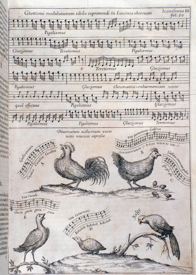 Musurgia（1650年）のページ 作： Unknown artist