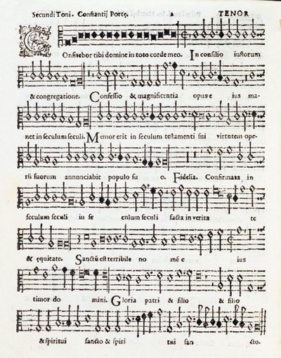 コスタンゾ・ポルタがパレストリーナに捧げた詩篇「Confitebor tibi dominine」の楽譜のページ。 作： Unknown artist
