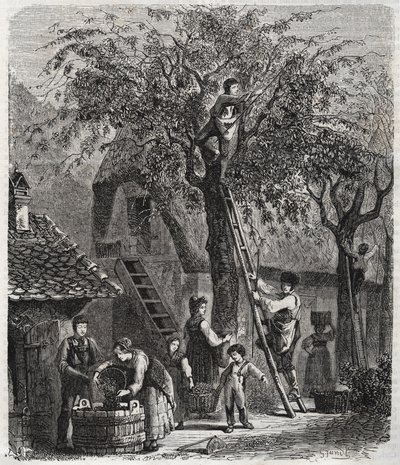 さくらんぼ狩り - 1860年の刻印-。 作： Unknown artist