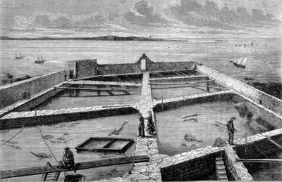 コンカルノーでの魚釣り。1860年に描かれたもの。 作： Unknown artist