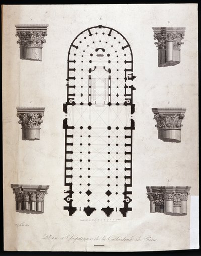 パリのノートルダム大聖堂（ノートルダム寺院）の平面図と資本図。19世紀 作： Unknown artist