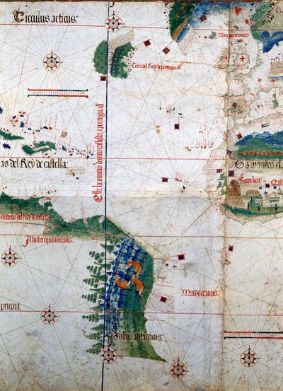アルベルト・カンティーノの平面図1502年にアルベルト・カンティーノが作成した地図で、トルデシリャス条約（1494年）で定められたポルトガルとスペインのアメリカ大陸の境界線を表している。ビブリオテカ・エステンセ。モデナ 作： Unknown artist