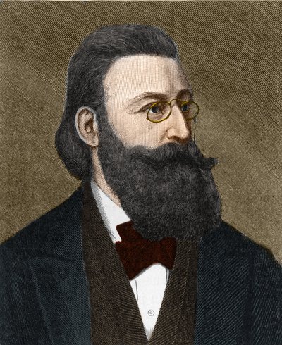 ポートレート Ludwig Anzengruber (1839-1889) オーストリアの作家。 作： Unknown artist
