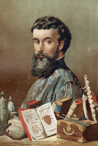 オランダの解剖学者アンドレ・ヴェザレ（1514-1564）の肖像（ラテン語ではAndrea Vesalius、オランダ語ではAndries Van Wesel）、Louis Figuierの「La Ciencia y sus Hombres」より。バルセロナ1881年 作： Unknown artist