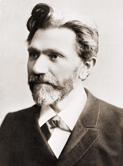 ドイツの政治家、アウグスト・ベーベル（1840-1913）の肖像 作： Unknown artist