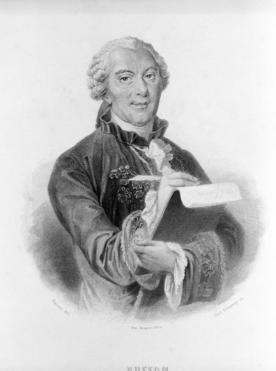 フランスの博物学者・作家であるビュフォン（1707～1788年）の肖像。 作： Unknown artist