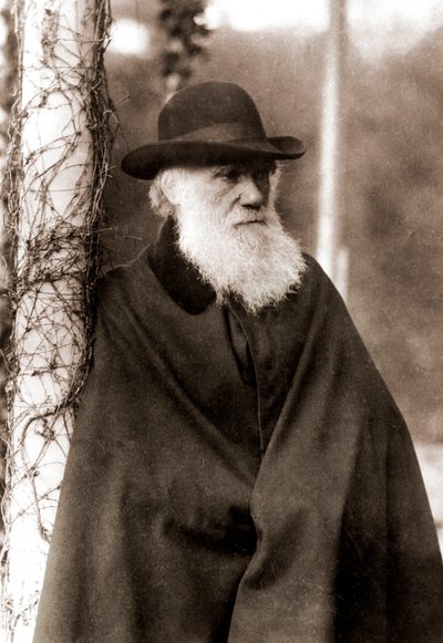 チャールズ・ダーウィン（1809-1882）の肖像 作： Unknown artist