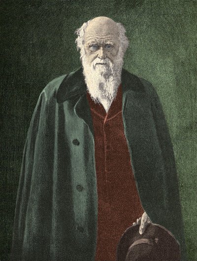 チャールズ・ダーウィン（1809-1882）の肖像 作： Unknown artist