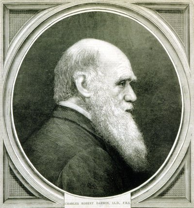 チャールズ・ダーウィン（1809-1882）の肖像 作： Unknown artist