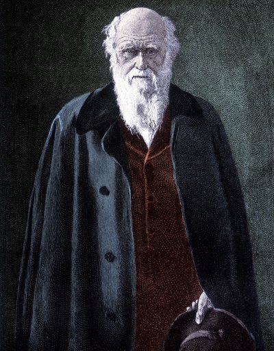 チャールズ・ダーウィン（イギリスの博物学者）の肖像（1809年～1882年 作： Unknown artist