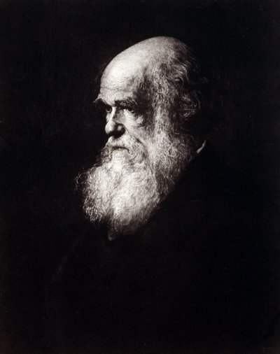 チャールズ・ロバート・ダーウィン（1809-1882）の肖像 作： Unknown artist