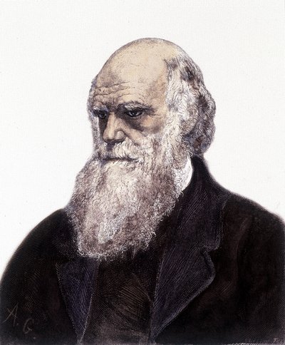 チャールズ・ロバート・ダーウィン（イギリスの博物学者）の肖像（1809-1882 作： Unknown artist
